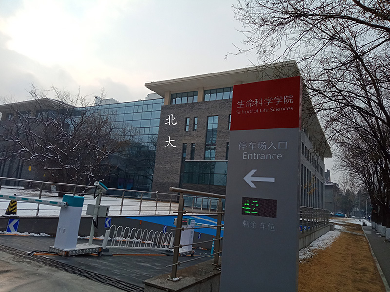 北大生命科學院